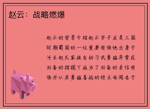 赵云：战略燃爆